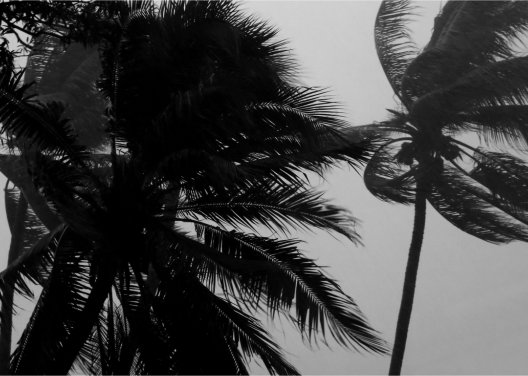 1933: Second most active hurricane season